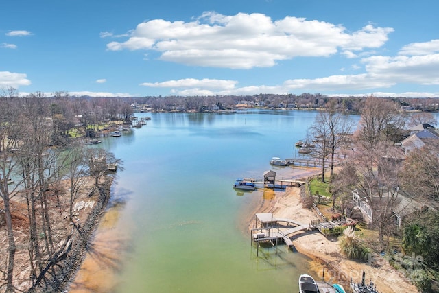 21610 Rio Oro Dr, Cornelius, NC 28031 - water view featuring a boat dock