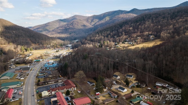 62 Leisure Ln, Maggie Valley, NC 28751 - view of property location with a forest and mountains