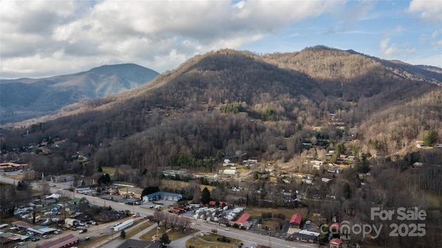 62 Leisure Ln, Maggie Valley, NC 28751 - mountain view featuring a heavily wooded area