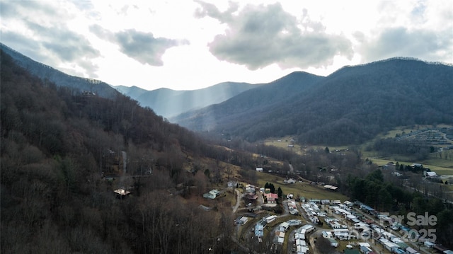 62 Leisure Ln, Maggie Valley, NC 28751 - mountain view featuring a forest