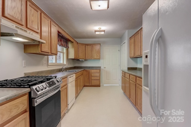703 Cinnamon Way, Flat Rock, NC 28731 - kitchen featuring white appliances, under cabinet range hood, and a sink