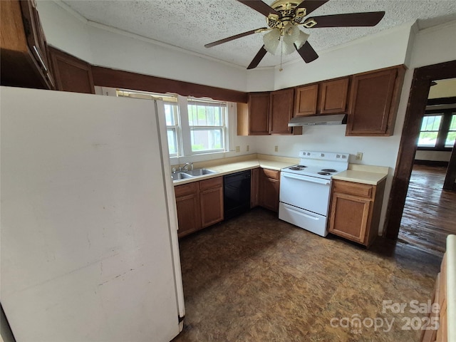 kitchen featuring white appliances, under cabinet range hood, light countertops, a sink, and ceiling fan