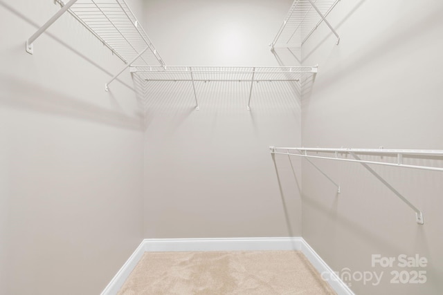 132 E Morehouse Ave, Mooresville, NC 28117 - walk in closet with carpet floors