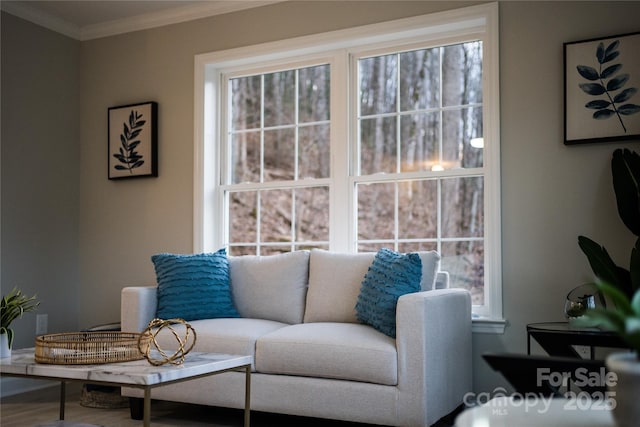 60 Leisure Ln, Maggie Valley, NC 28751 - sitting room featuring crown molding, healthy amount of natural light, and wood finished floors