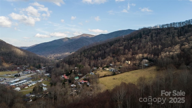 60 Leisure Ln, Maggie Valley, NC 28751 - view of mountain background with a forest