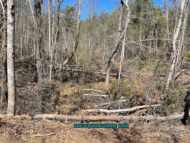 84 Union Chapel Rd, Weaverville, NC 28787