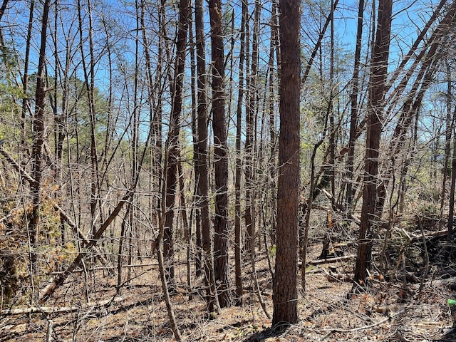84 Union Chapel Rd, Weaverville, NC 28787