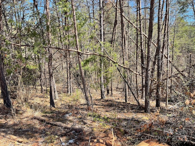84 Union Chapel Rd, Weaverville, NC 28787