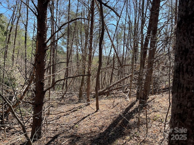 84 Union Chapel Rd, Weaverville, NC 28787