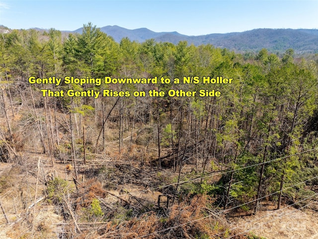 84 Union Chapel Rd, Weaverville, NC 28787
