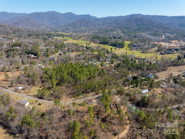 84 Union Chapel Rd, Weaverville, NC 28787