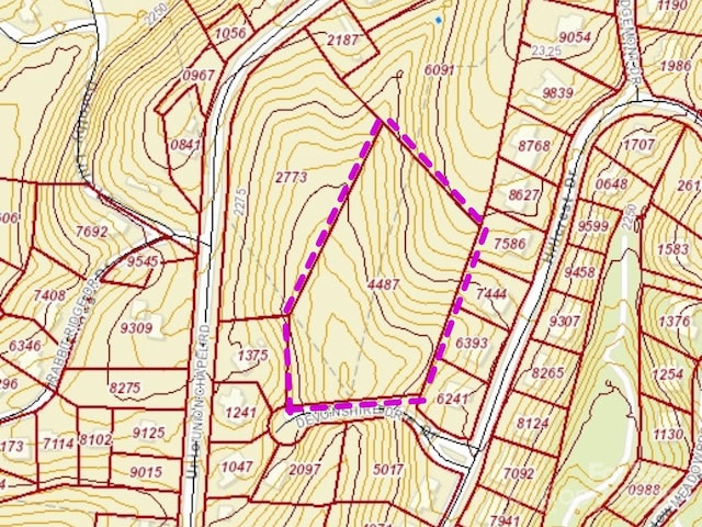 84 Union Chapel Rd, Weaverville, NC 28787