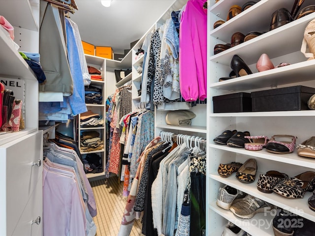 view of spacious closet