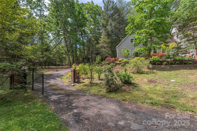 view of road featuring a gated entry and a gate