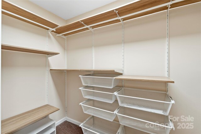 view of spacious closet