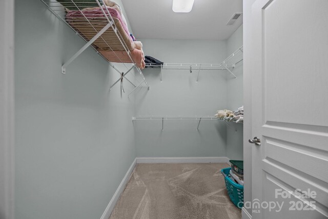 422 Drake Ln, Salisbury, NC 28146 - spacious closet with carpet floors