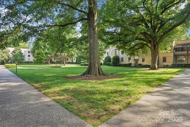 surrounding community with a lawn