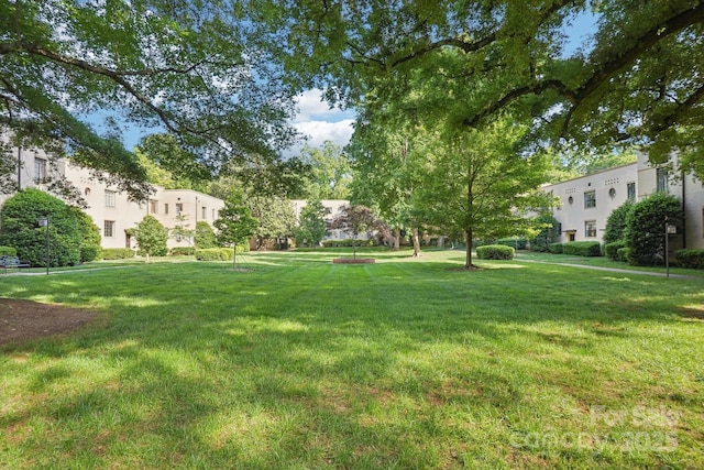 view of green lawn