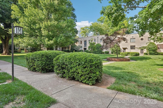 view of property's community with a lawn