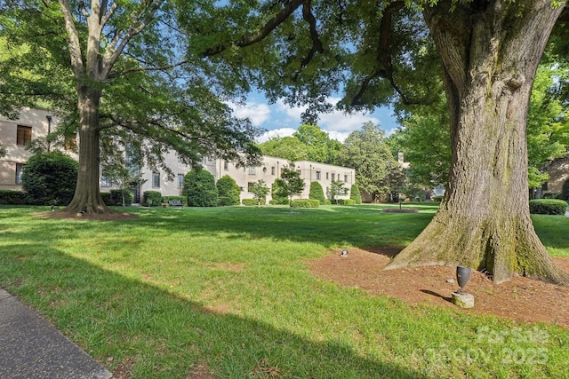 view of green lawn