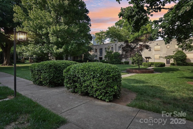 view of home's community with a lawn