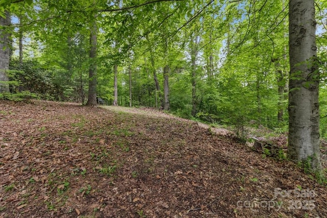 256 W Ridge Dr, Burnsville, NC 28714 - photo 41