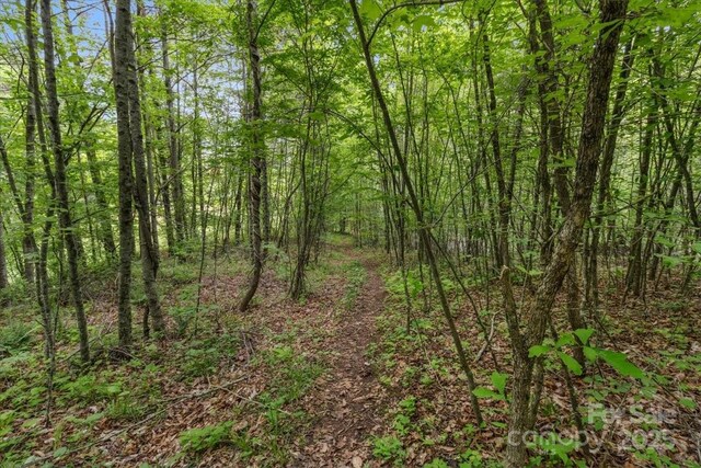 256 W Ridge Dr, Burnsville, NC 28714 - photo 42