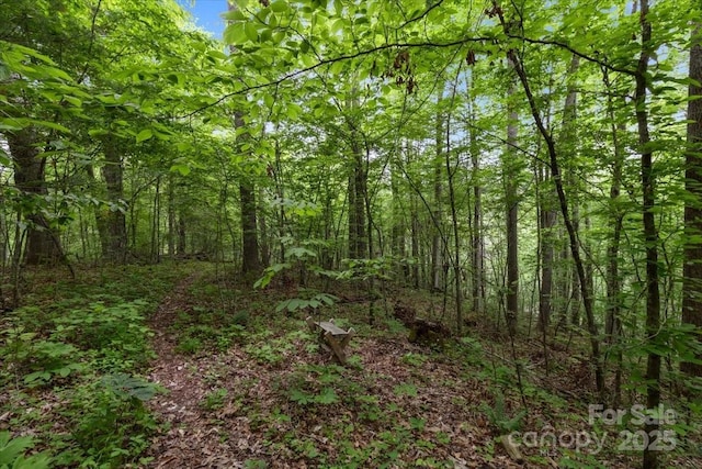 256 W Ridge Dr, Burnsville, NC 28714 - photo 44