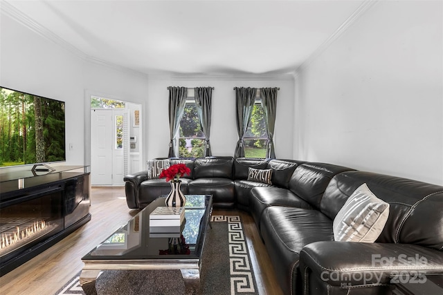 4846 Deer Cross Trl, Charlotte, NC 28269 - living room with ornamental molding and wood finished floors