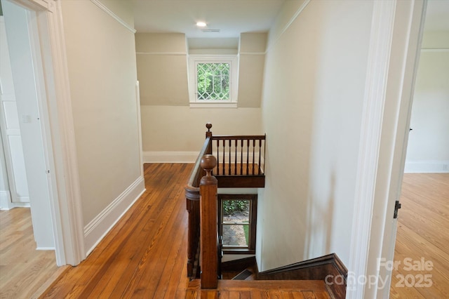 31 Jefferson Dr, Asheville, NC 28801 - stairs featuring hardwood / wood-style flooring and baseboards