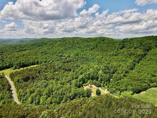 drone / aerial view of a heavily wooded area