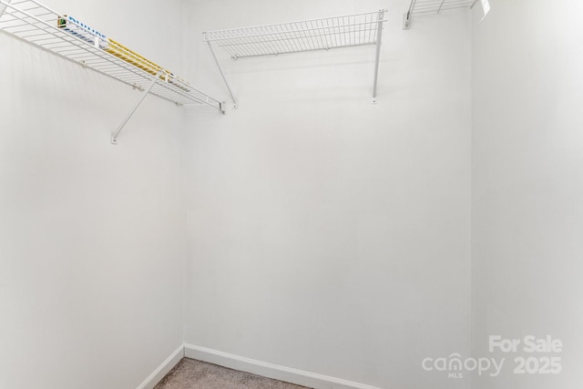 spacious closet with light carpet