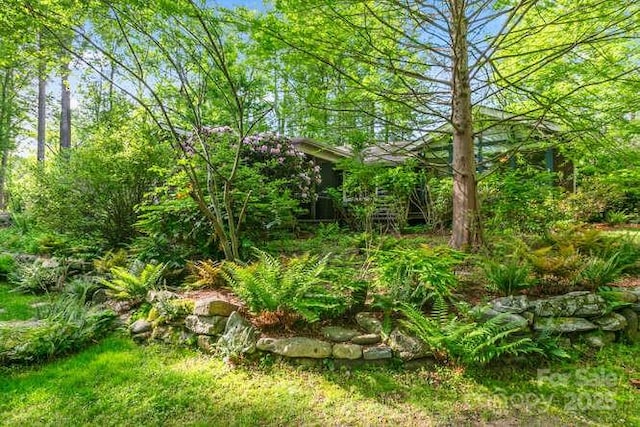 20 Deva Gln, Asheville, NC 28804 - view of nature