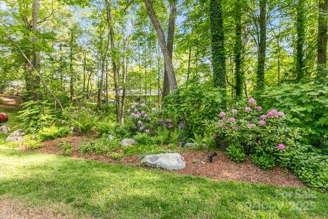 20 Deva Gln, Asheville, NC 28804 - view of yard