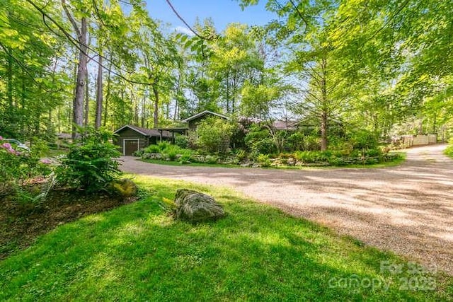 20 Deva Gln, Asheville, NC 28804 - view of dirt / gravel road