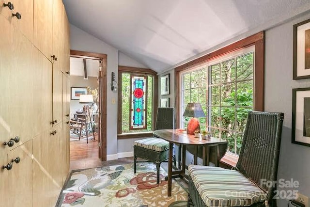 20 Deva Gln, Asheville, NC 28804 - dining area with lofted ceiling, baseboards, and wood finished floors