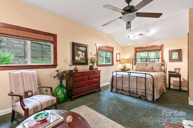 20 Deva Gln, Asheville, NC 28804 - bedroom featuring baseboards, lofted ceiling, carpet flooring, and a ceiling fan