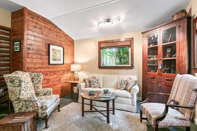 20 Deva Gln, Asheville, NC 28804 - sitting room with carpet floors and vaulted ceiling