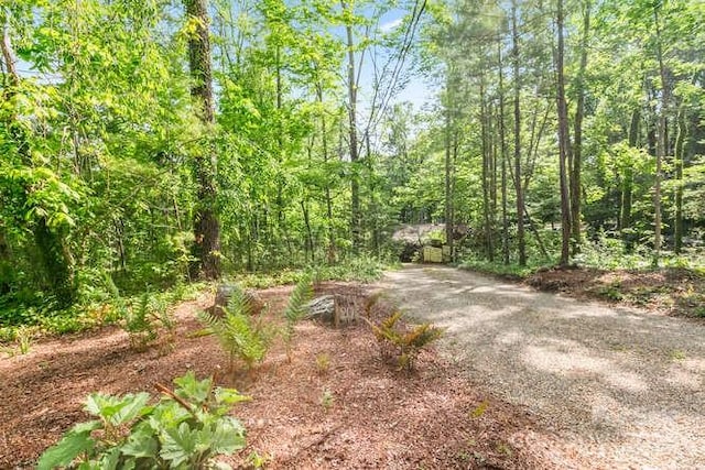 20 Deva Gln, Asheville, NC 28804 - view of road featuring a forest view