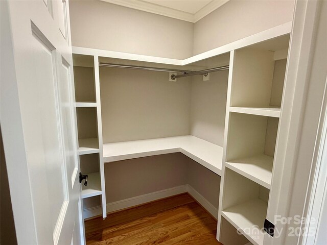 456 Brook Valley Ct NE, Concord, NC 28025 - walk in closet with wood finished floors