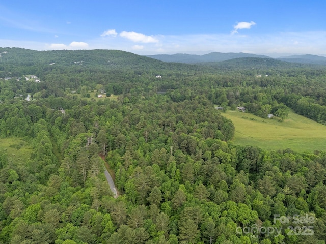 287 Red Fox Ln, Flat Rock, NC 28731