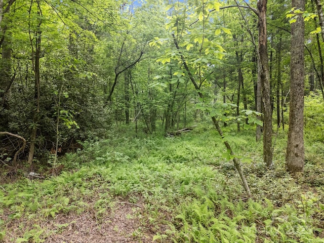 287 Red Fox Ln, Flat Rock, NC 28731