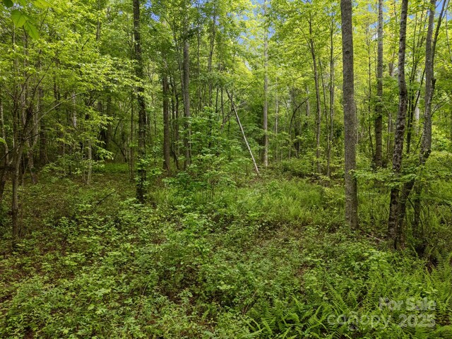 287 Red Fox Ln, Flat Rock, NC 28731