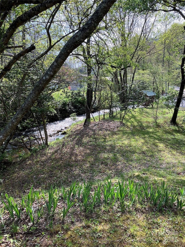 45 Old Cove Rd, Sylva, NC 28779 - view of yard