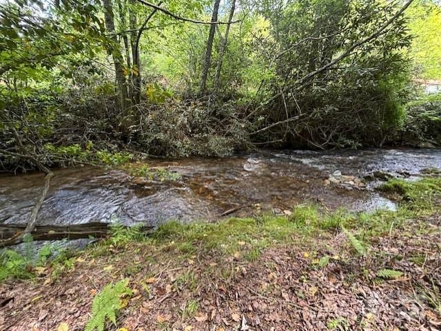45 Old Cove Rd, Sylva, NC 28779 - view of local wilderness