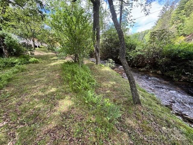45 Old Cove Rd, Sylva, NC 28779 - view of yard
