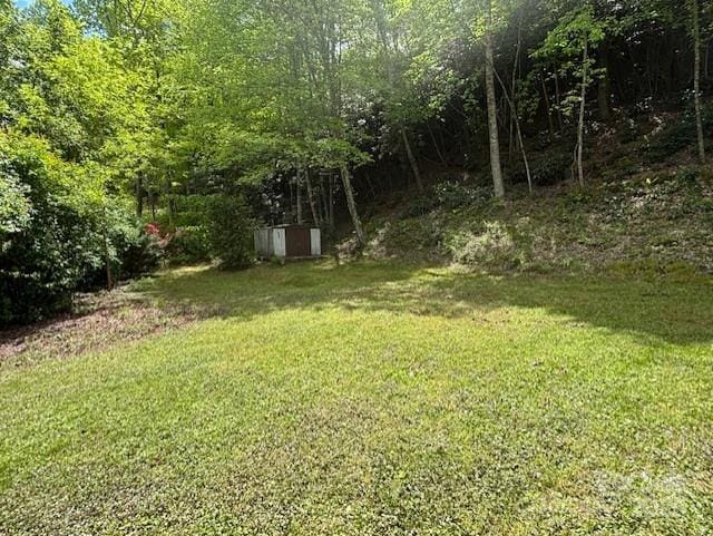 45 Old Cove Rd, Sylva, NC 28779 - view of grassy yard