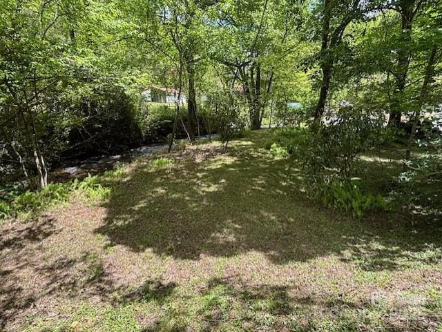 45 Old Cove Rd, Sylva, NC 28779 - view of yard featuring a wooded view