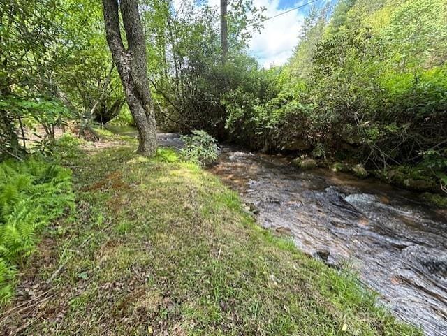 45 Old Cove Rd, Sylva, NC 28779 - view of local wilderness