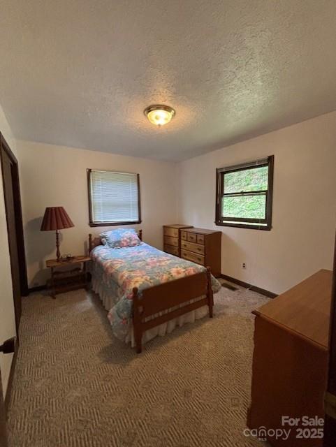 45 Old Cove Rd, Sylva, NC 28779 - bedroom featuring a textured ceiling and light colored carpet